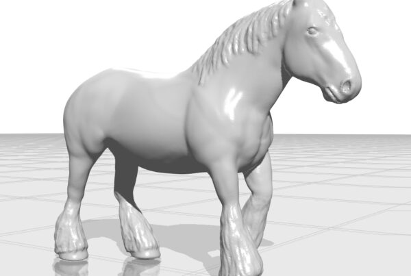 belgian draft horse 3d model