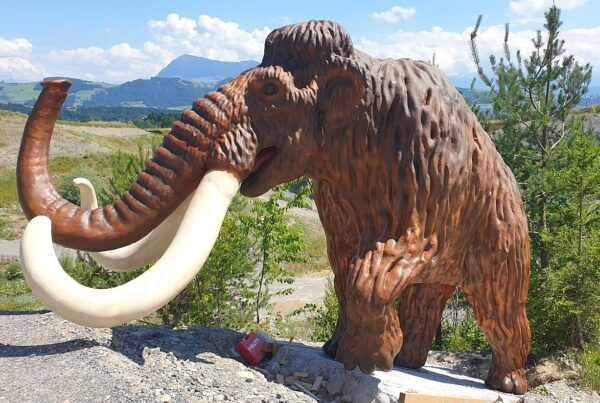 Mamut 400cm po montażu